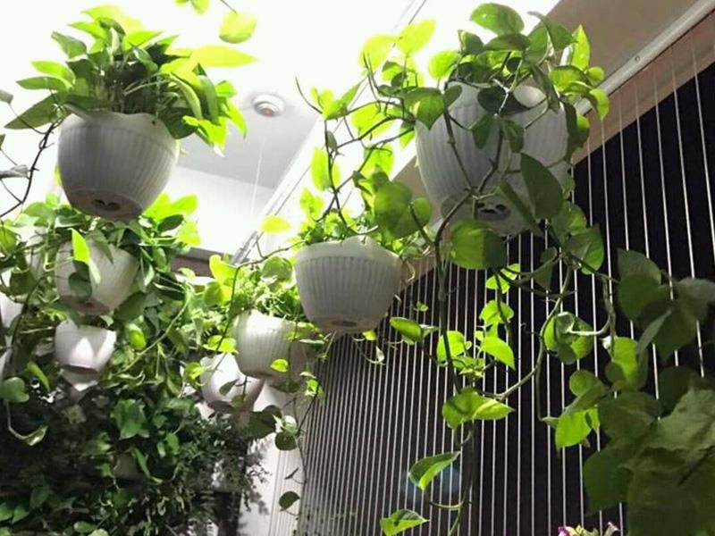Cửa hàng hòa phát nơi lắp đặt lưới an toàn ban công giá rẻ uy tín tại hà nội
